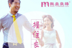 单身青年选择的婚恋机构