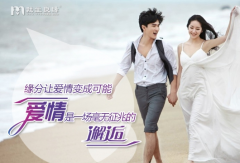 高端婚恋 选我主良缘