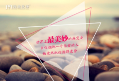 我主良缘相亲记 创业型男喜获爱情