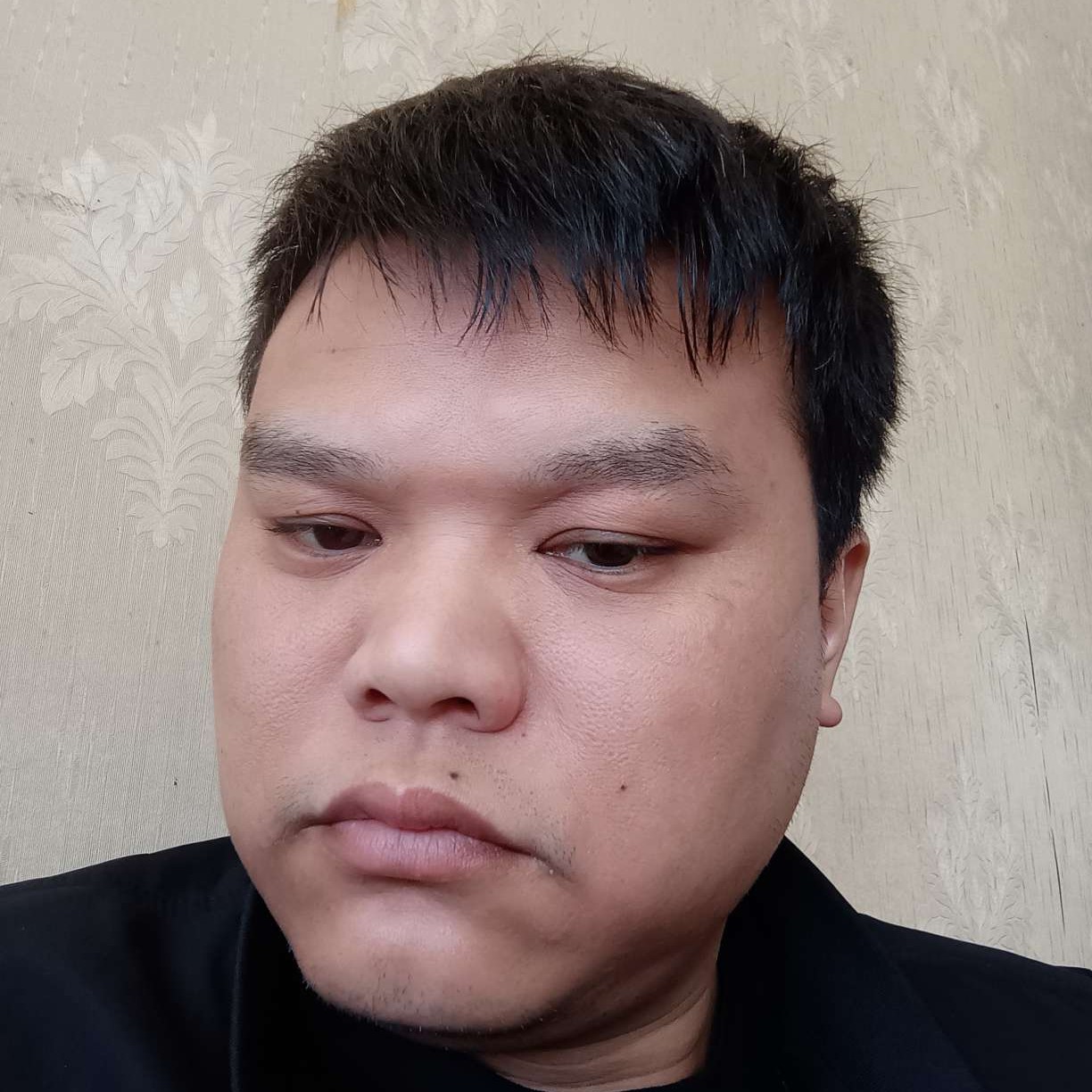 小懒虫有忧郁的照片