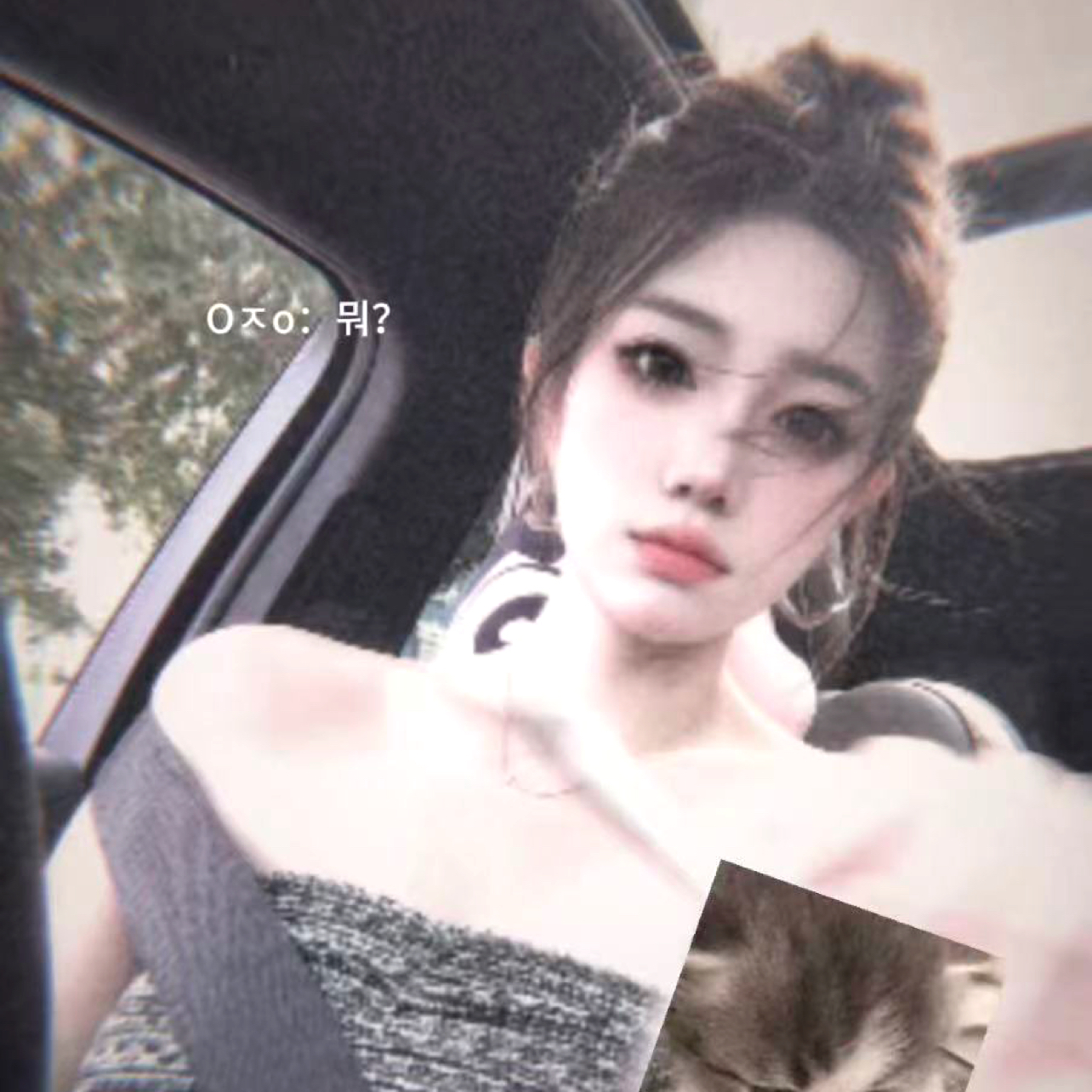 小猫不会喵～的照片