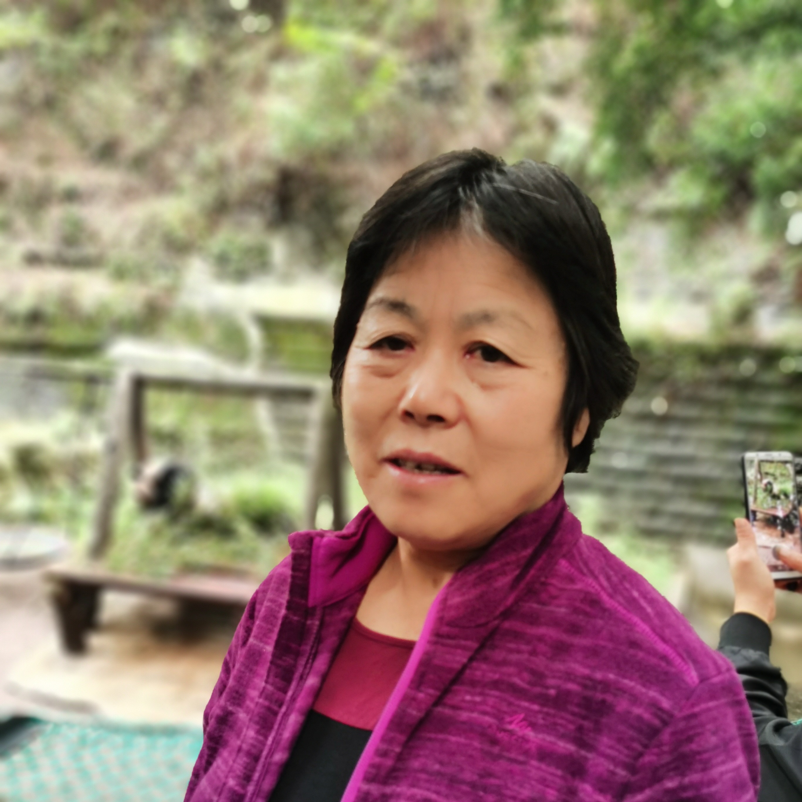 会员378285795的照片