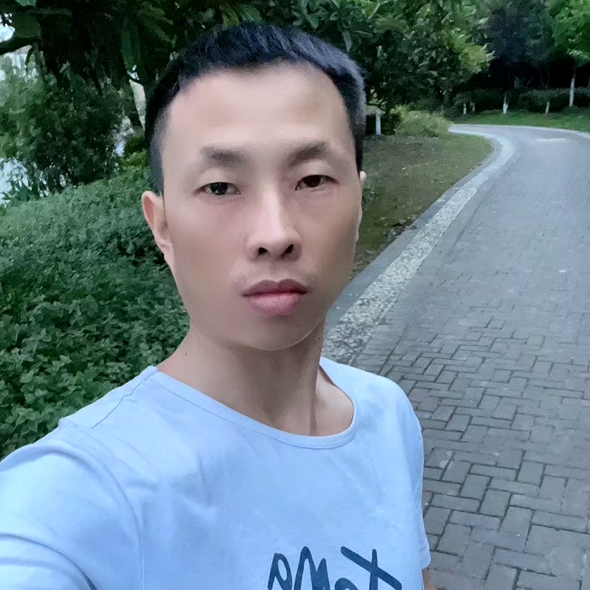 优美有白昼的照片