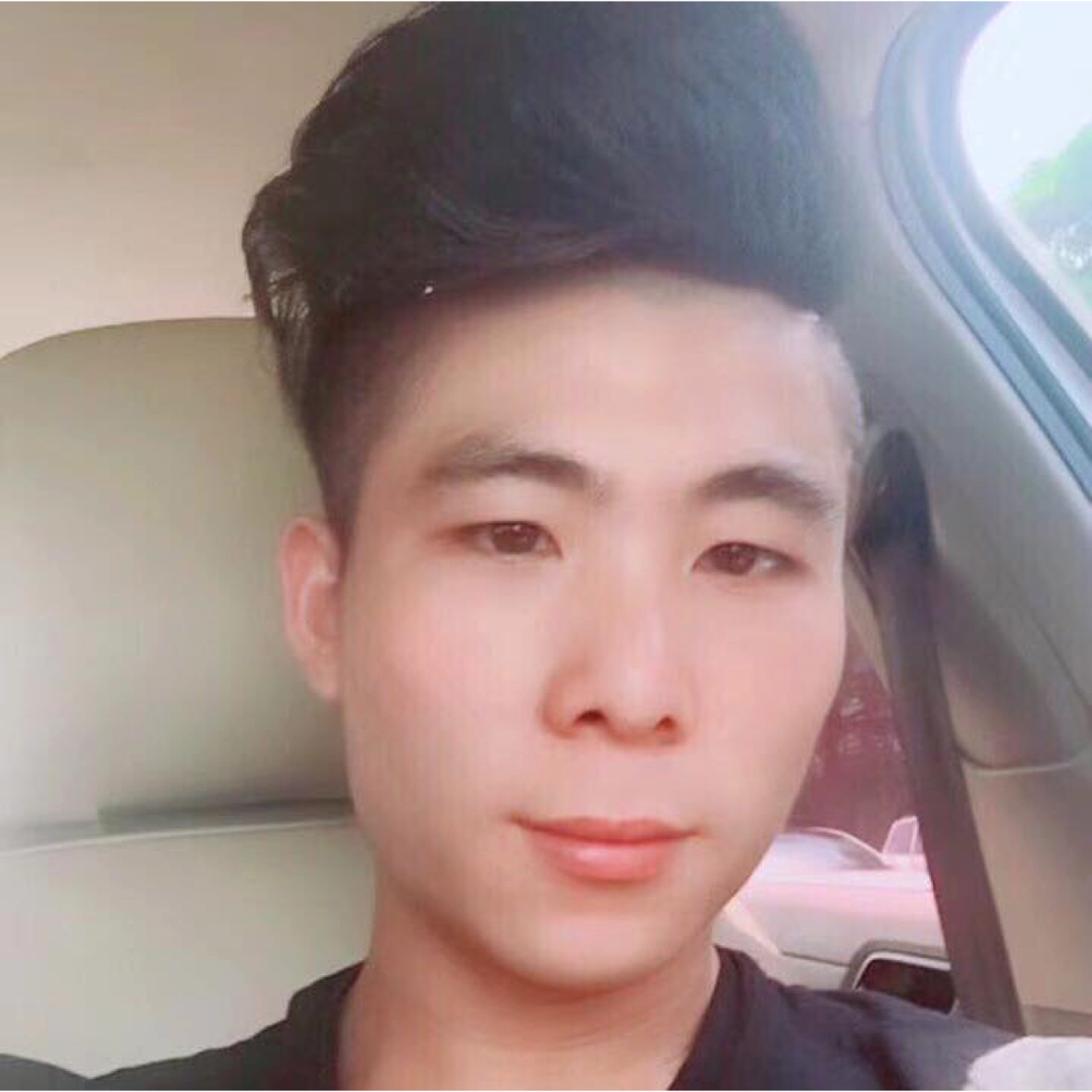 蜜蜂停止震动的照片