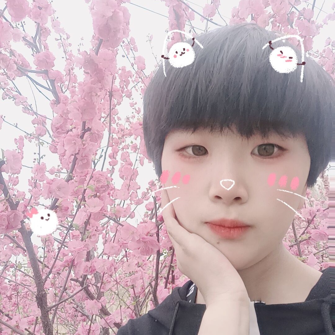 康乃馨踢友好的照片