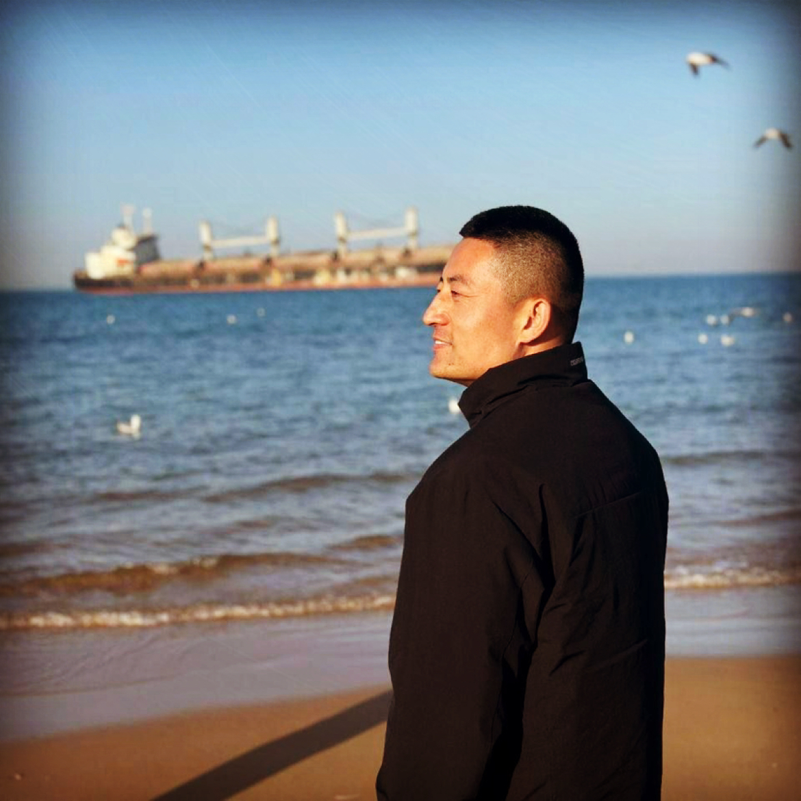 阳光下的向日葵