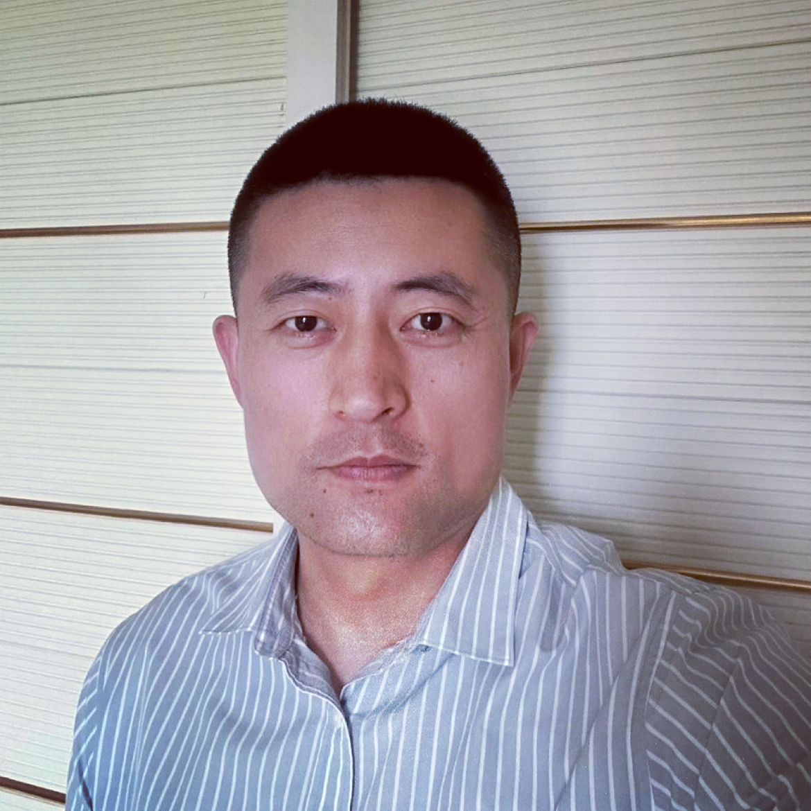 秋天的向日葵的照片