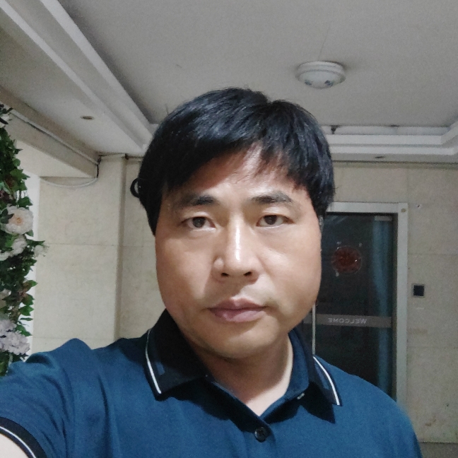 苗条深拥天空的照片