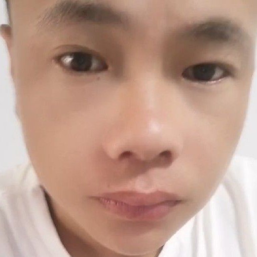 短短的的照片