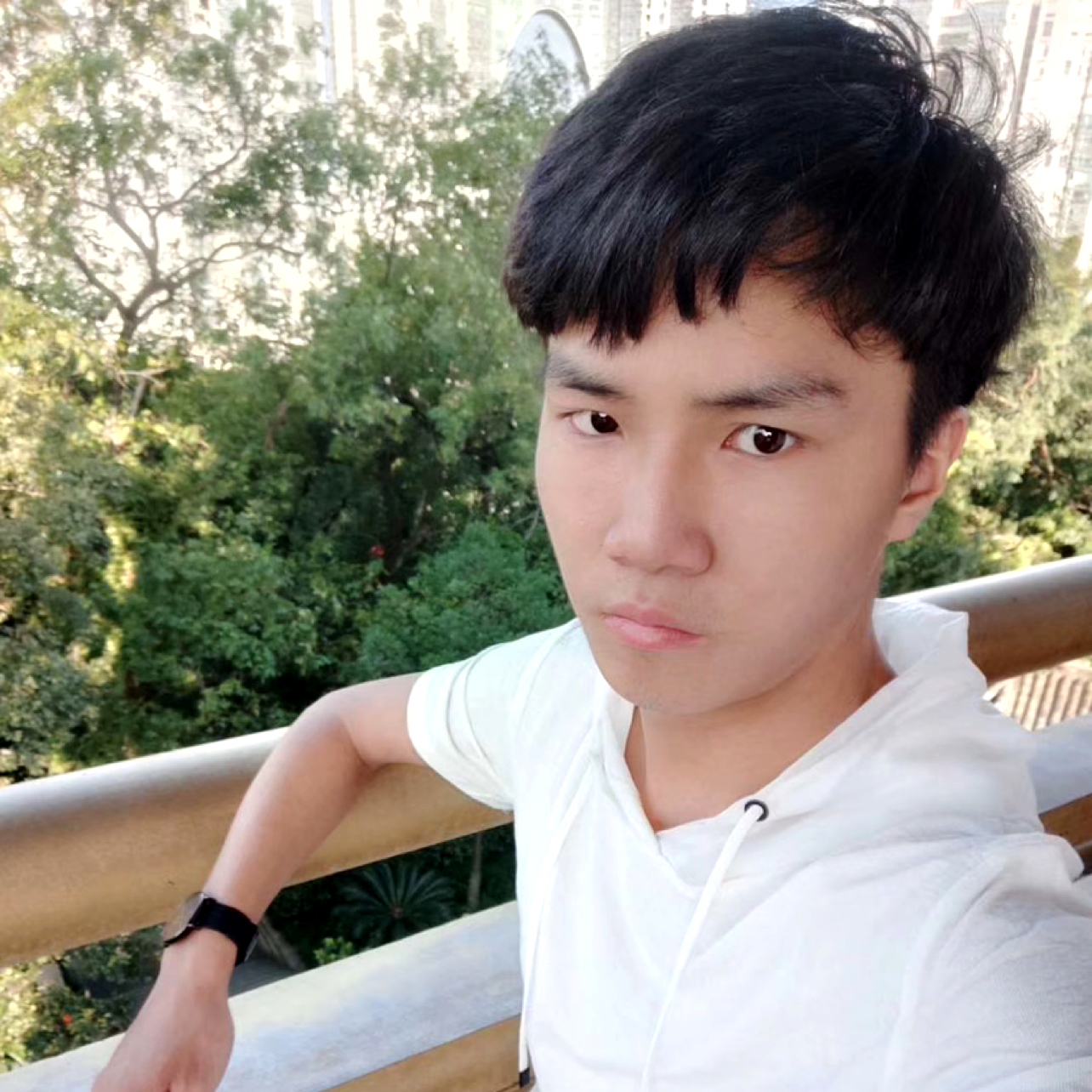 朴素相许洛尘的照片