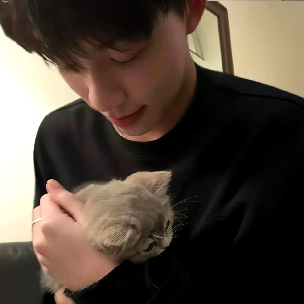 琢磨不透de花朵的照片