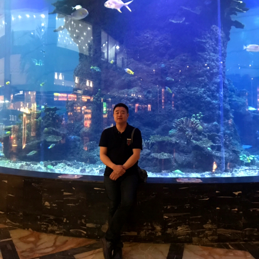 继序其皇的照片