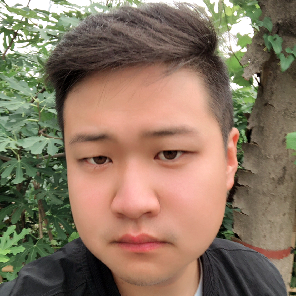 青衫凝眸长情的照片