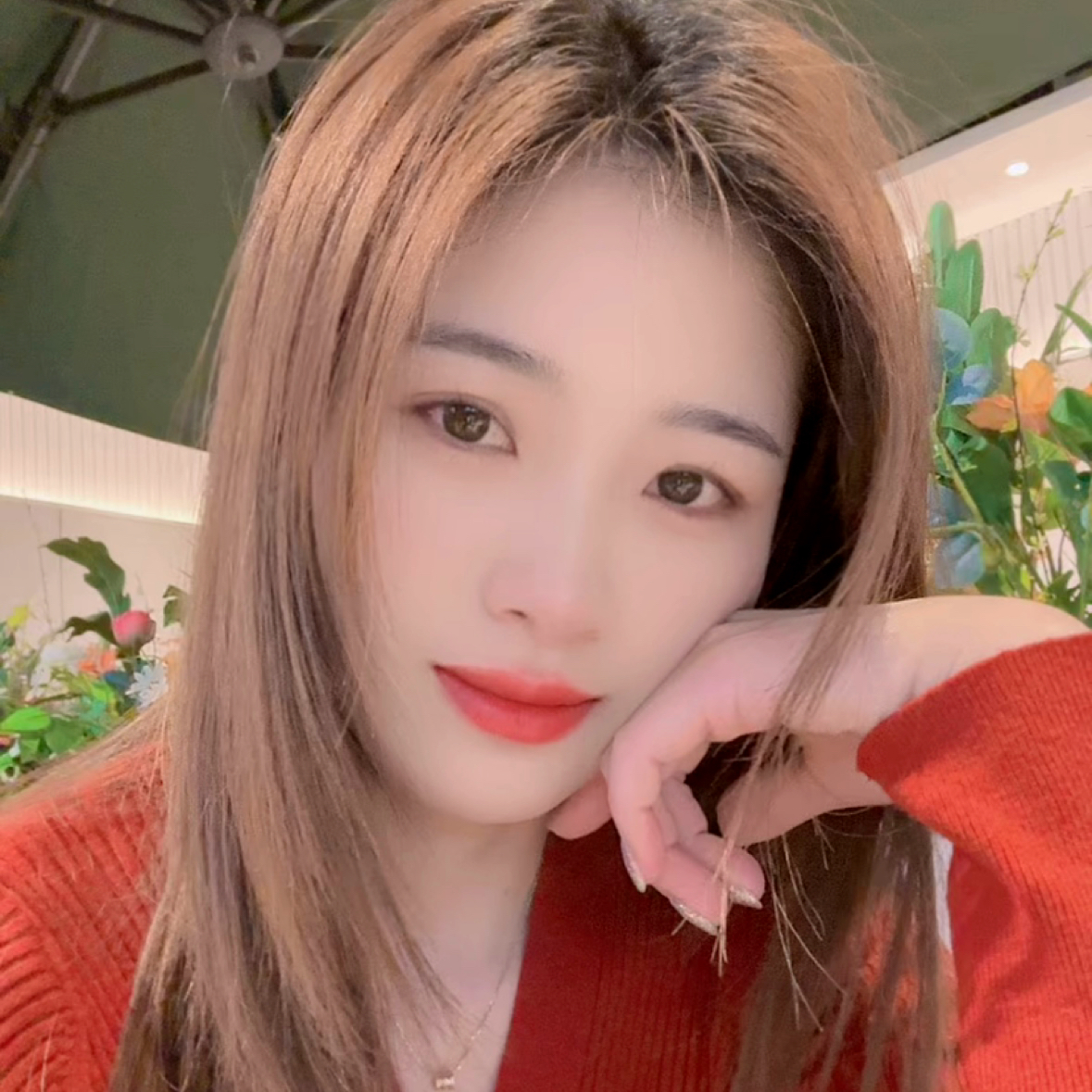 遗留de皂荚的照片