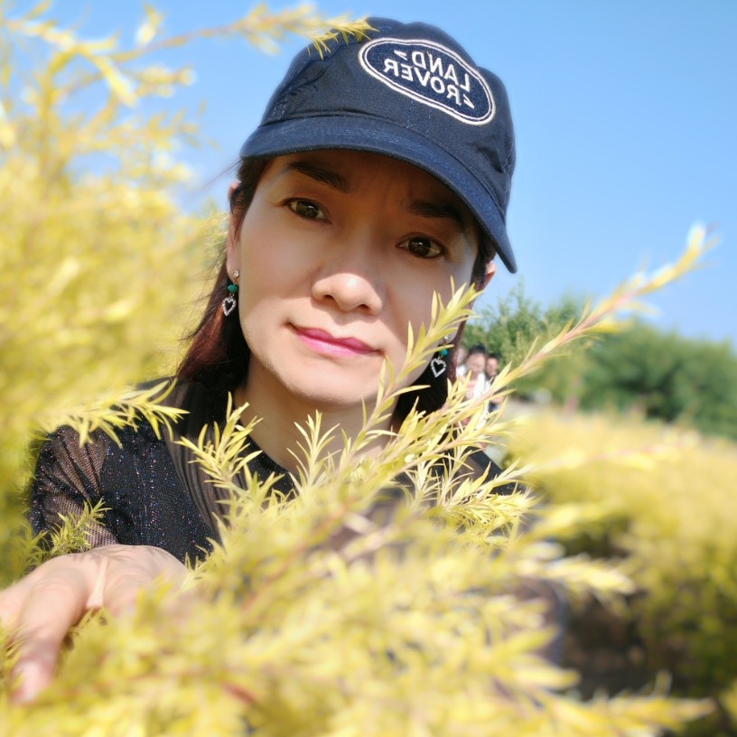 苦涩的海的照片