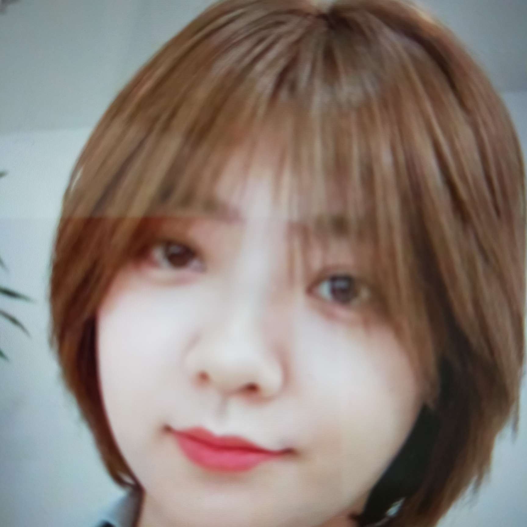 会员90817018的照片
