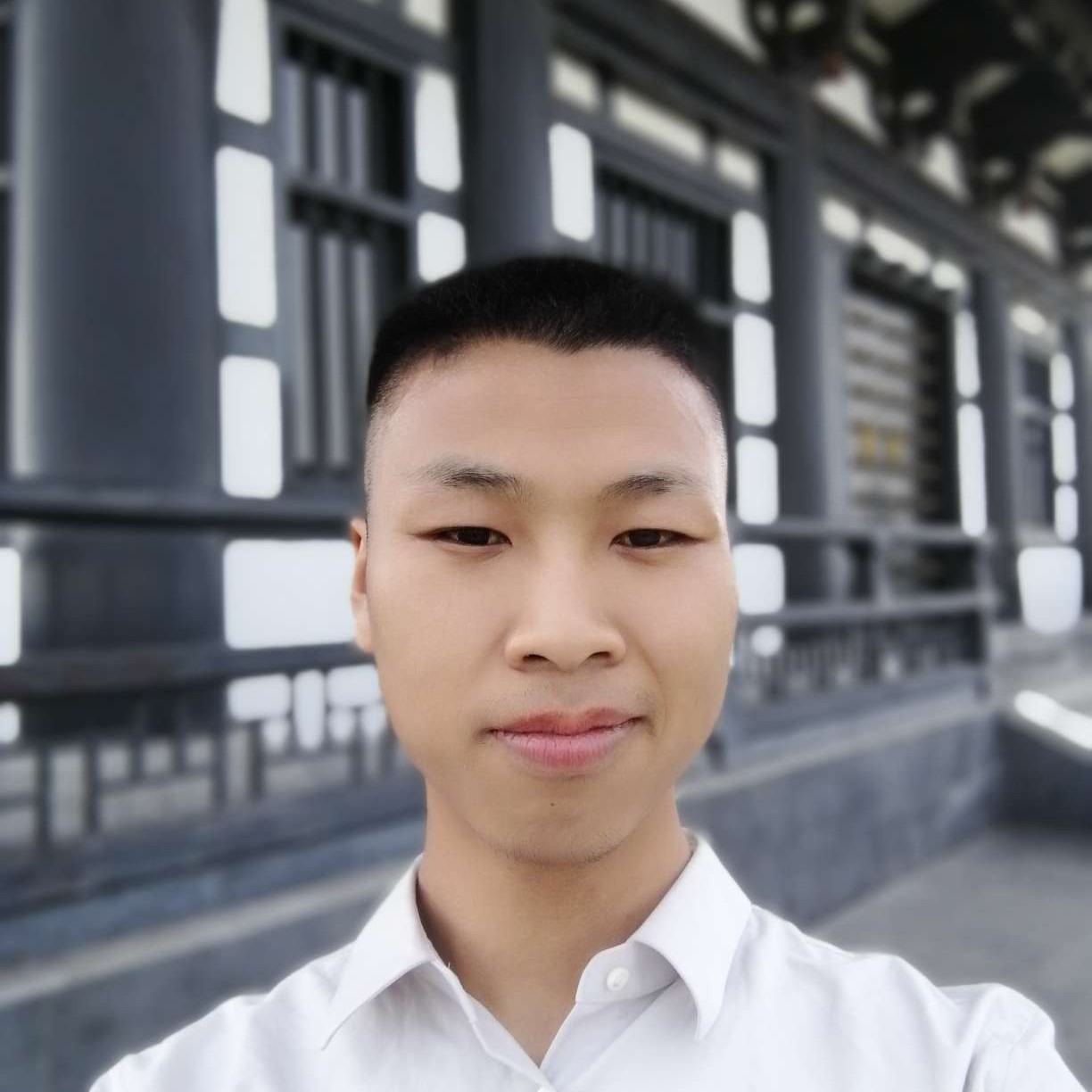 靠近阳光的照片