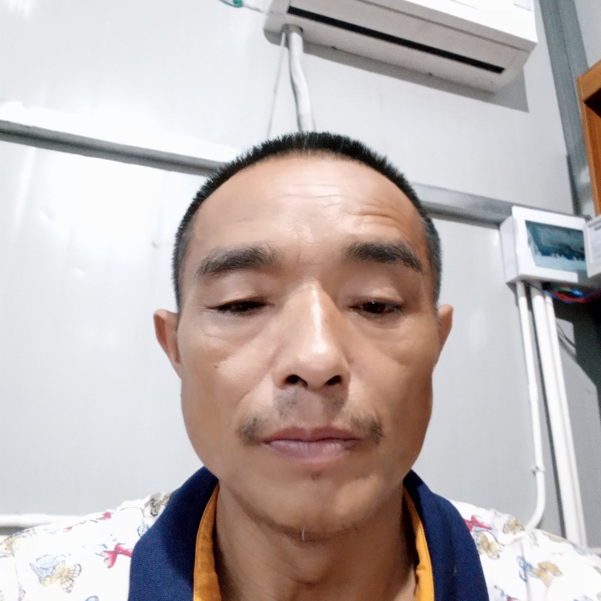 害怕邂逅可乐的照片