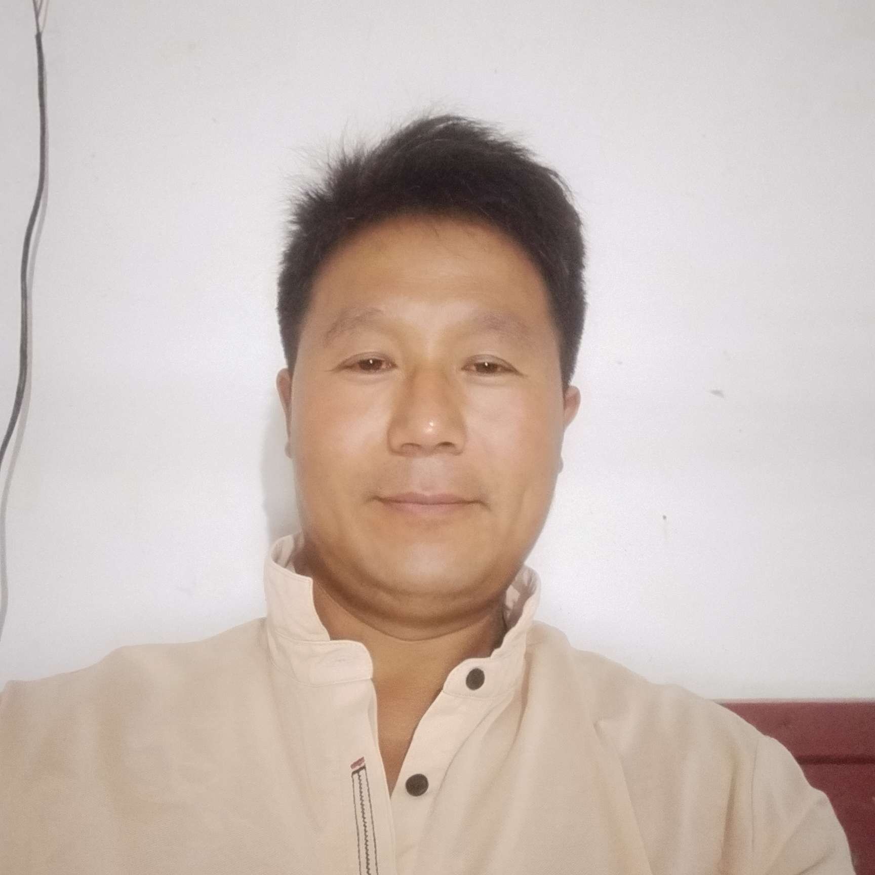 恰似旧人归的照片