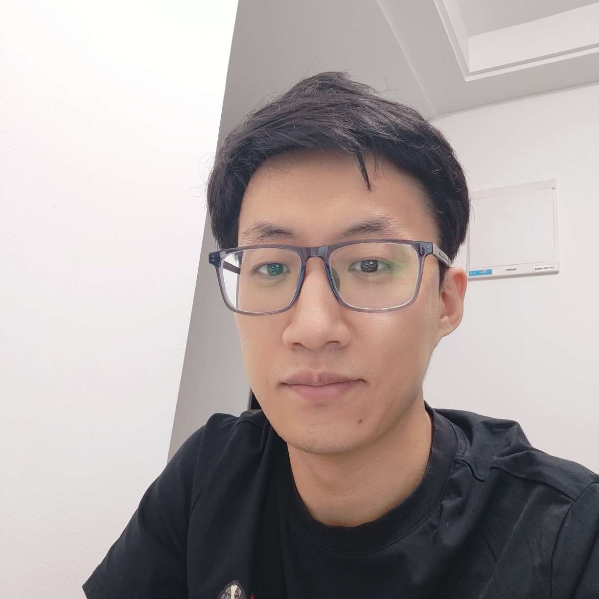 格陵兰海鸥的照片