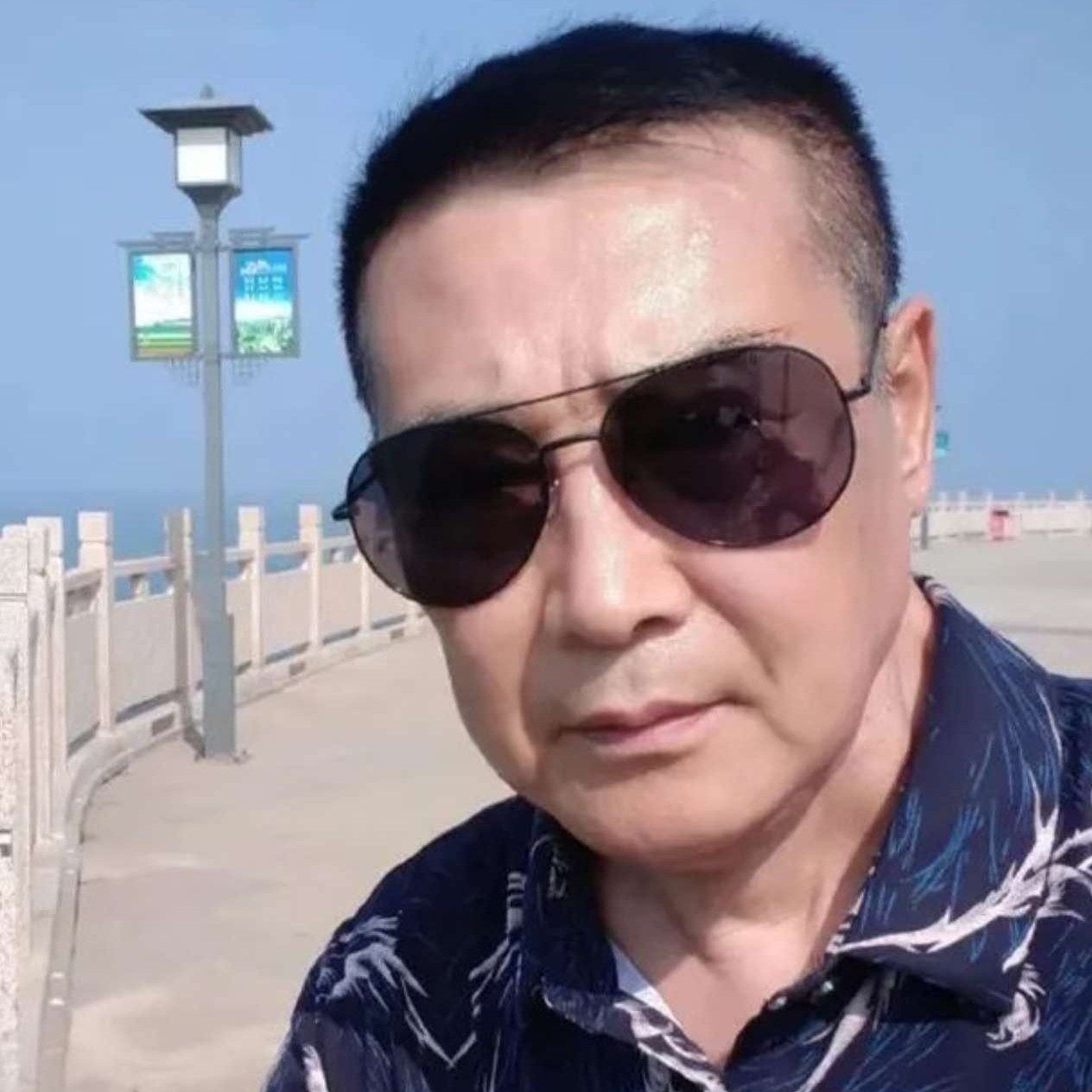 你de丛林的照片