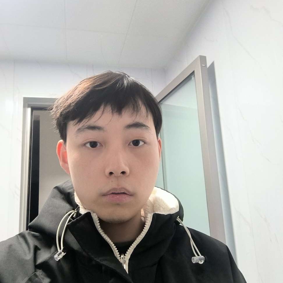 爱上网de小海豚