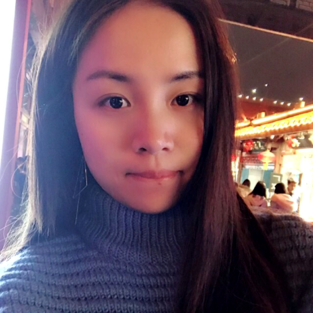 明媚猫咪的照片