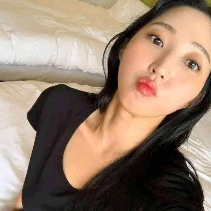 独走的猫