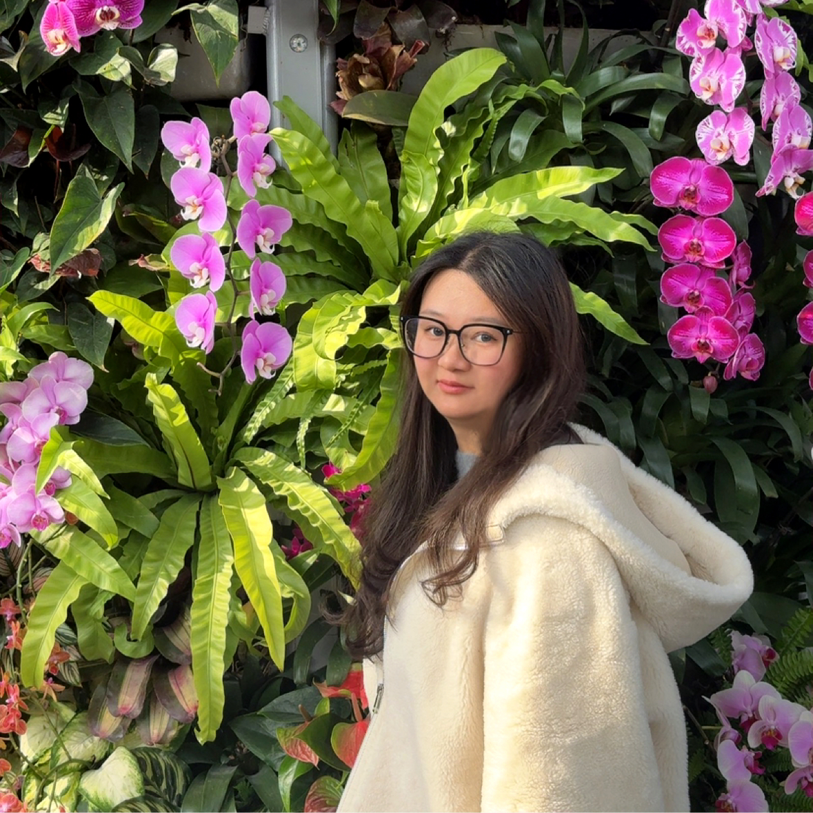 甜甜de岛屿的照片