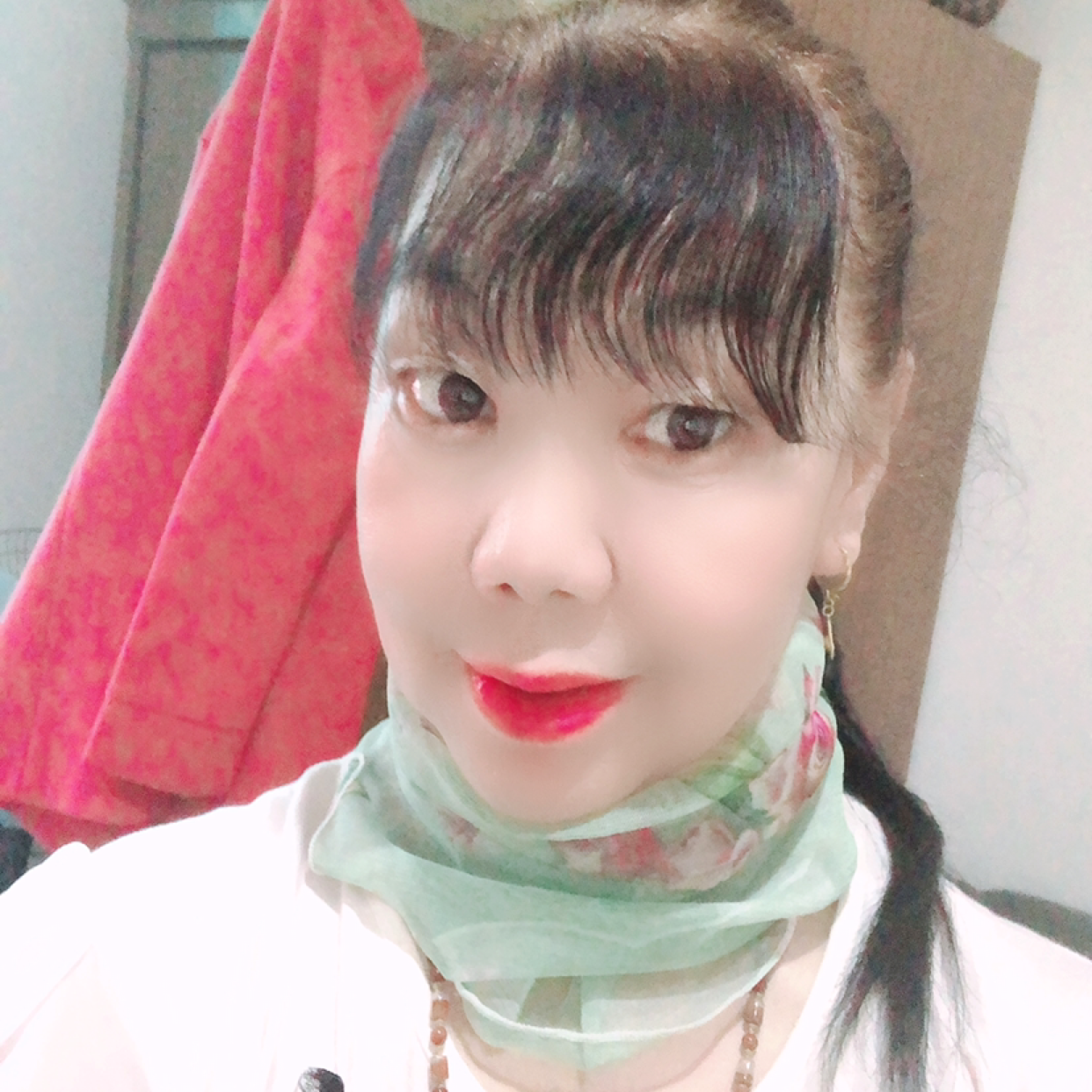 张灯草的照片