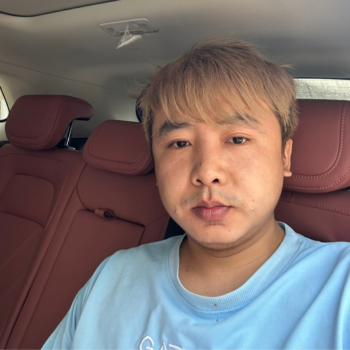 彩色de樱花的照片