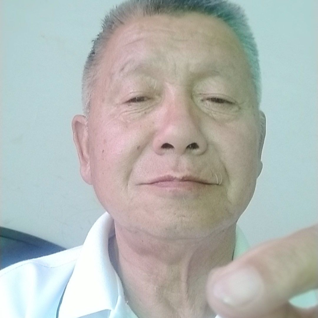 拉长有狗的照片