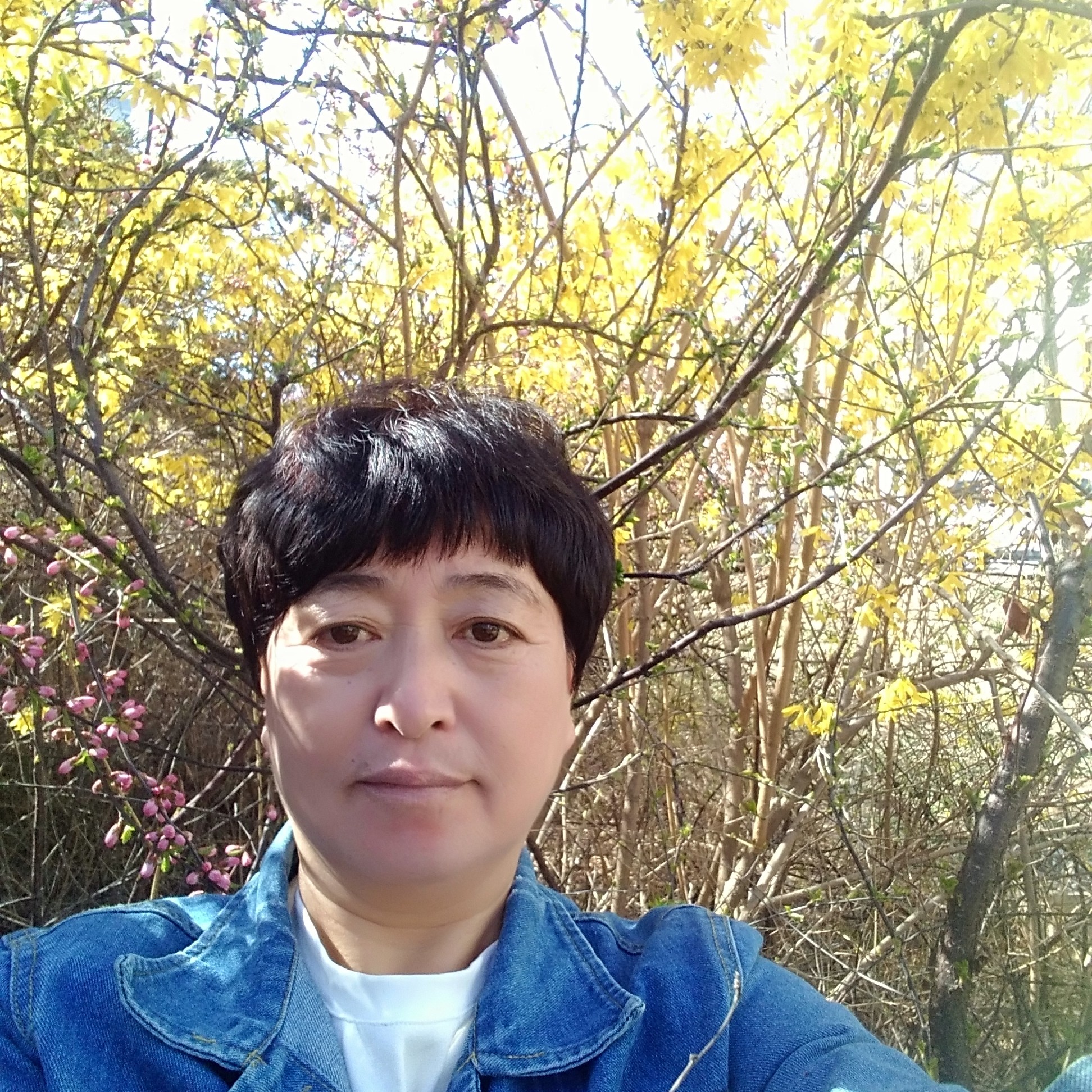 无私蹁跹糖豆的照片