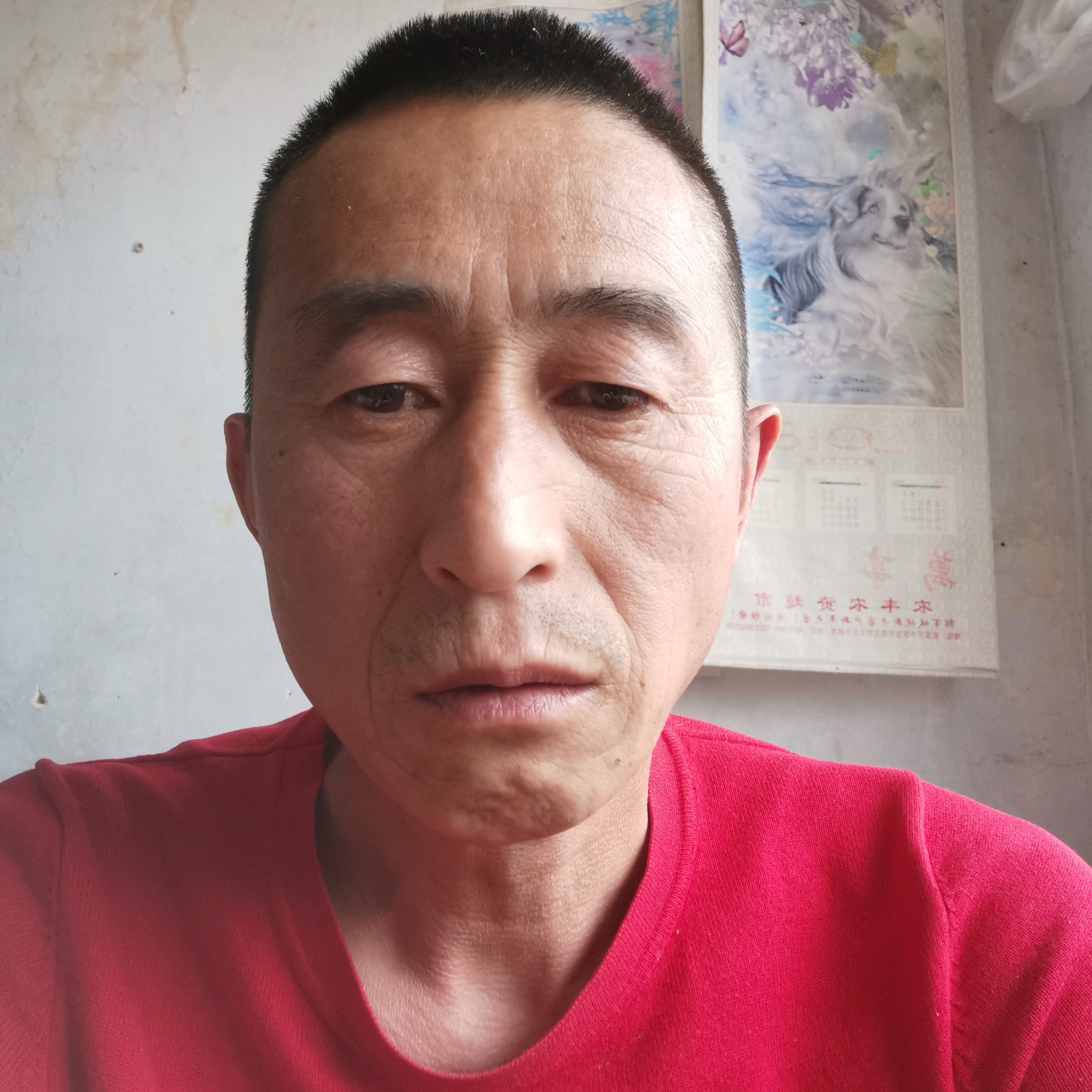 念华的照片