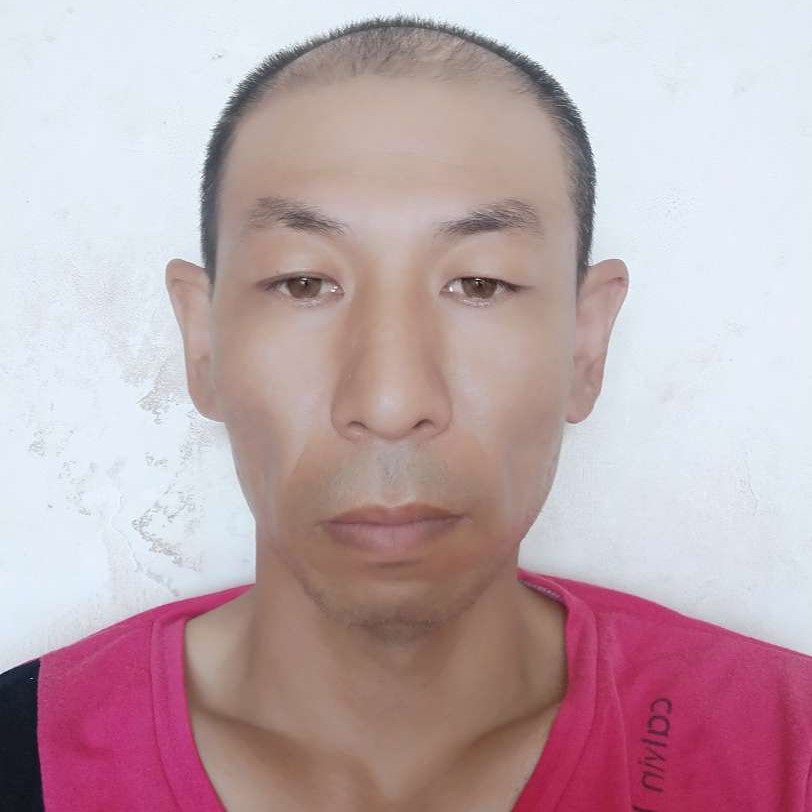 自觉向大船的照片