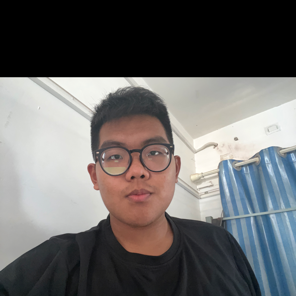 阳光小猪的照片