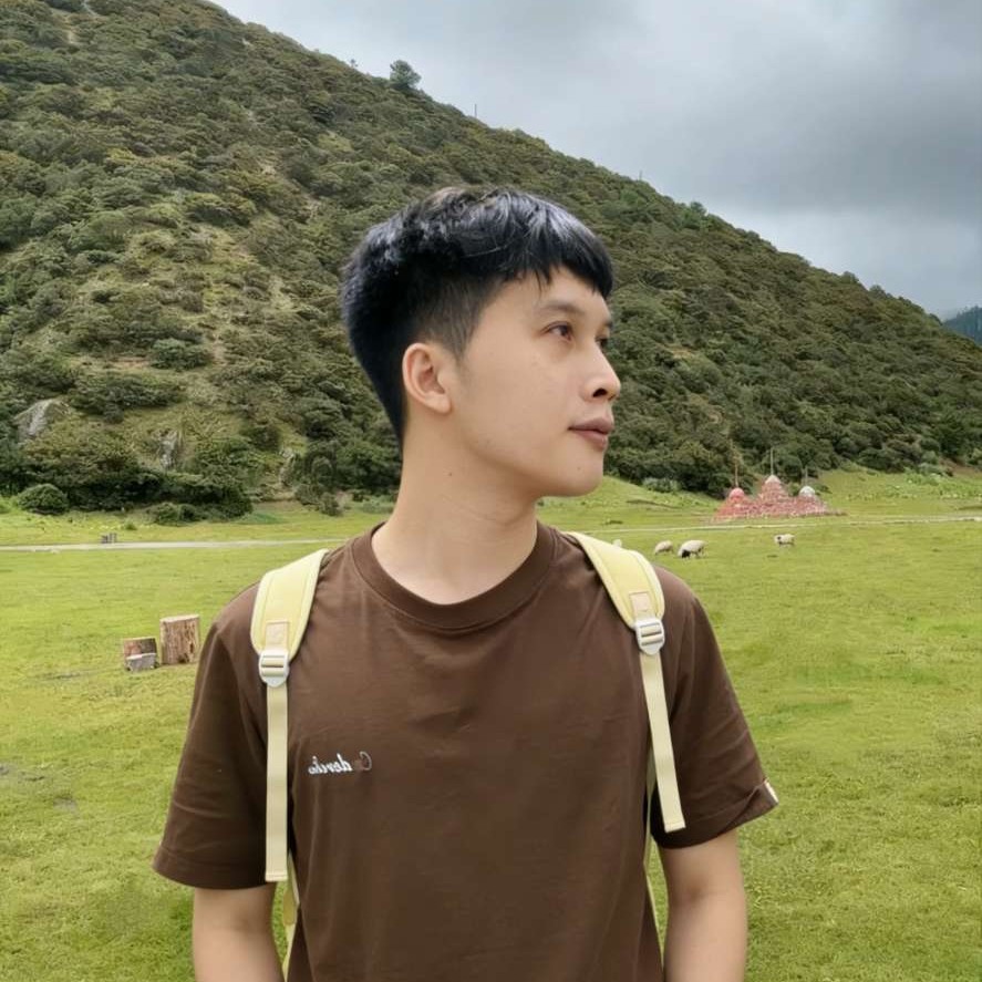 梨花的照片