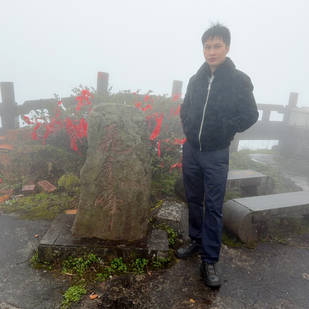 树深见鹿的照片