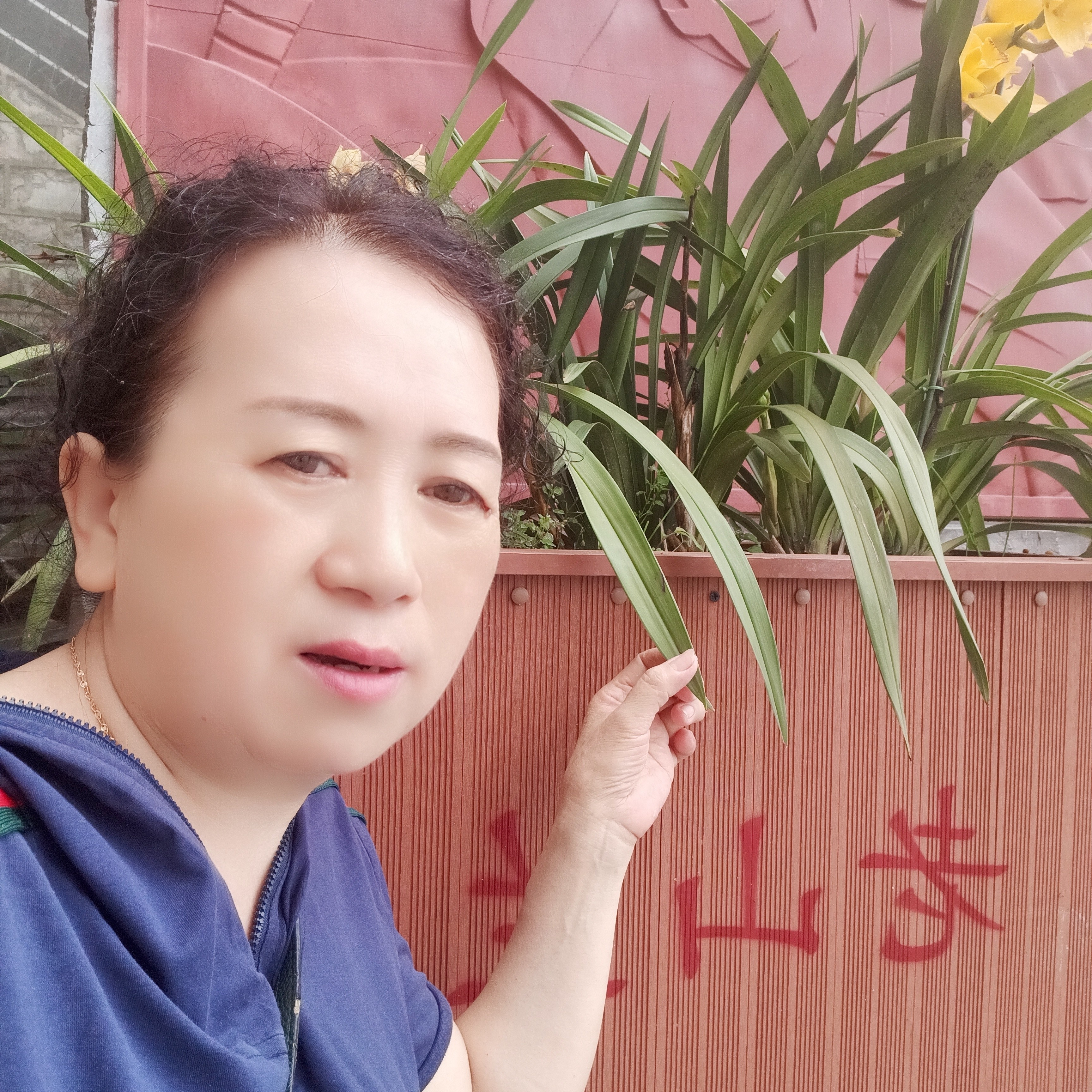 傲梅戏霜的照片