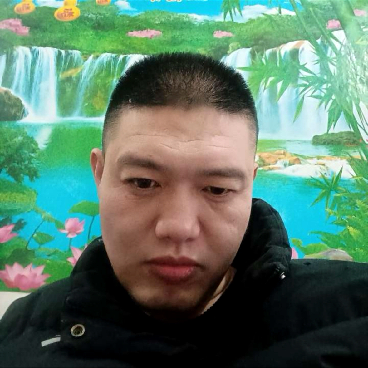 月光作笺的照片