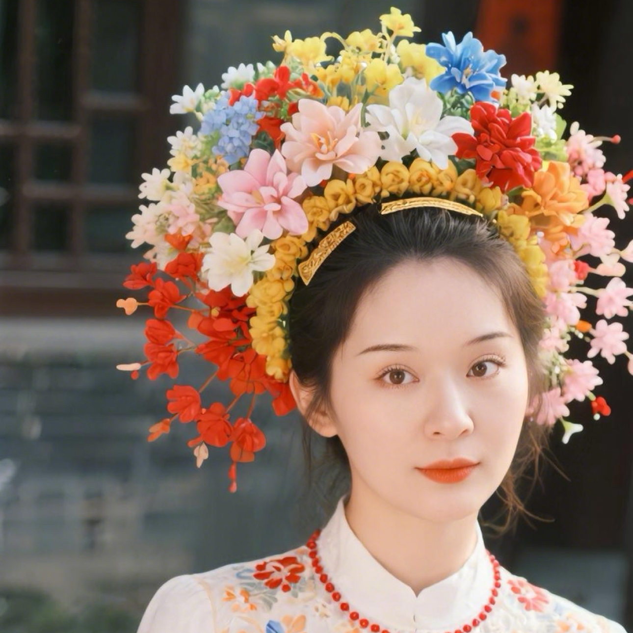 粗心de七星瓢虫的照片