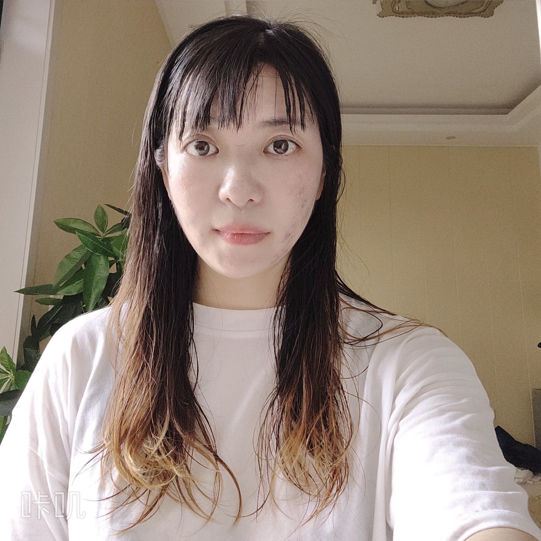 苹果小可的照片