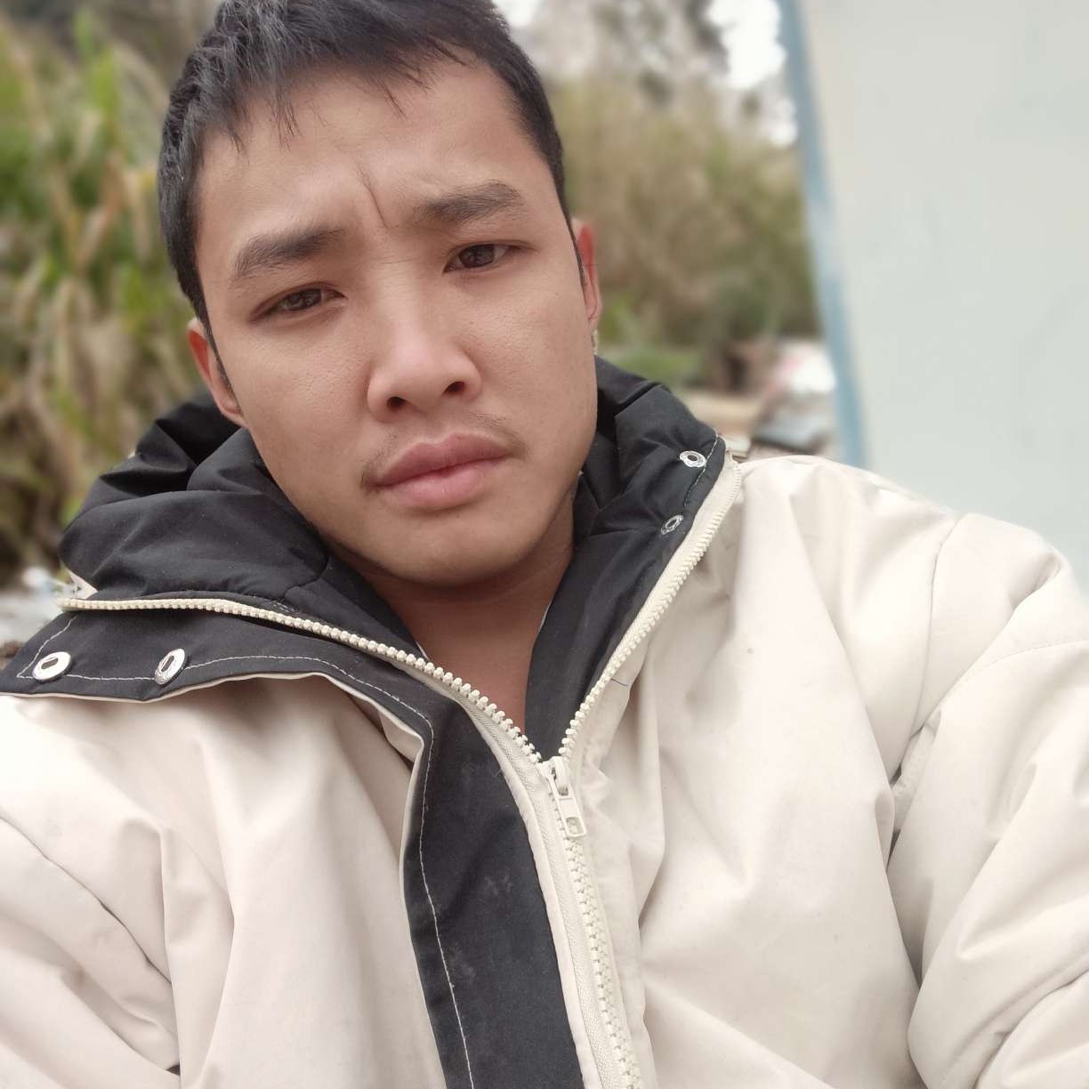 爱逛街de赛的照片