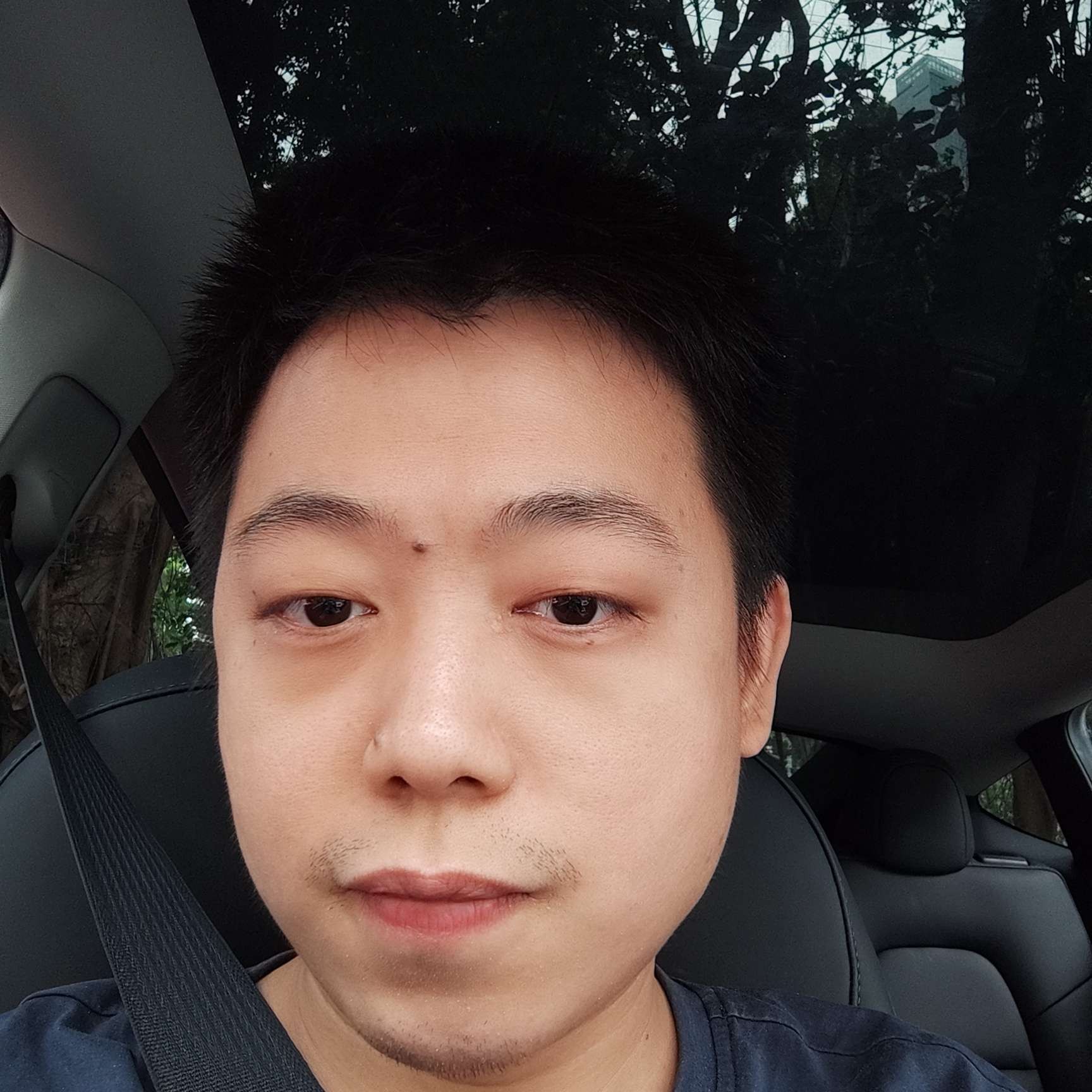 朦胧de烟雨的照片