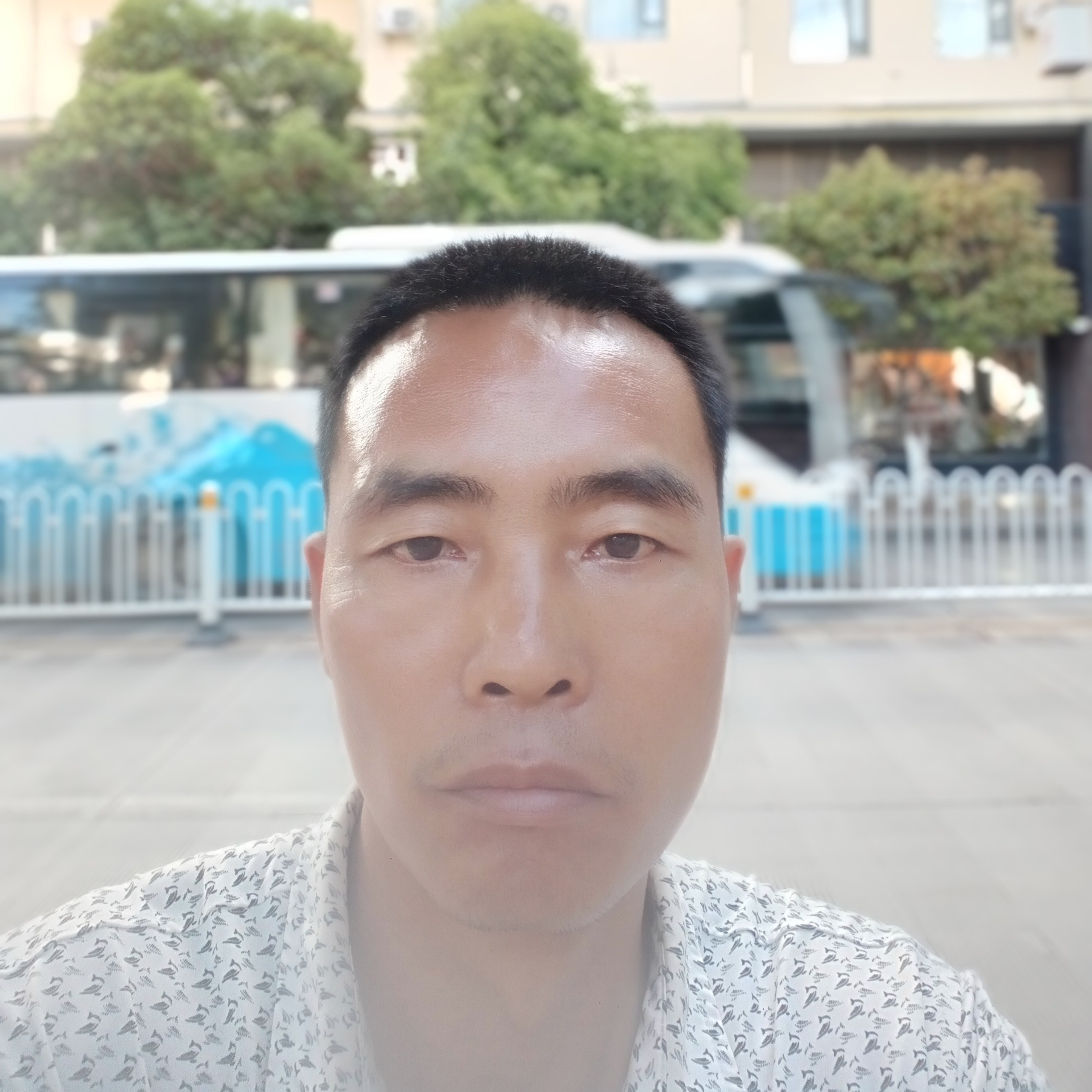 爱拼才会赢aaa的照片