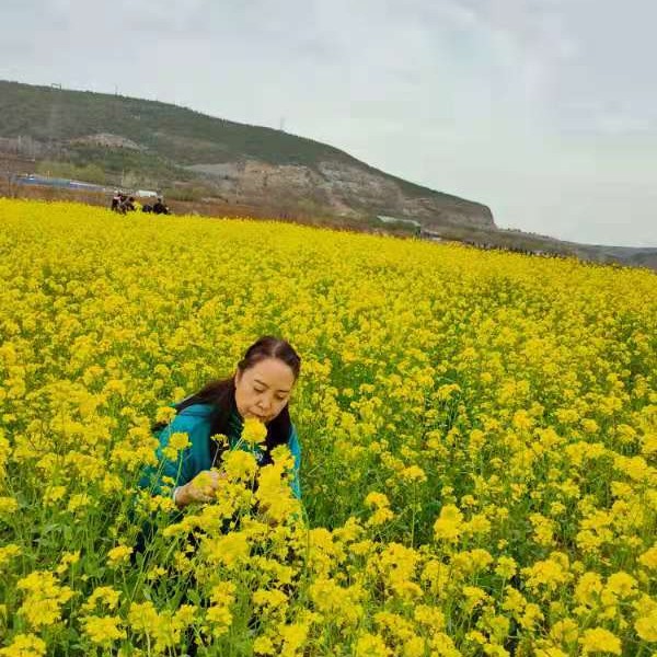 卡布奇诺的给故事的照片