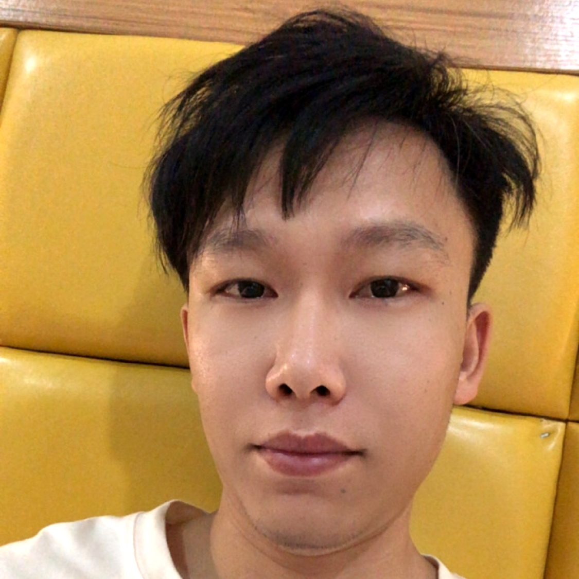 白云遮马的照片