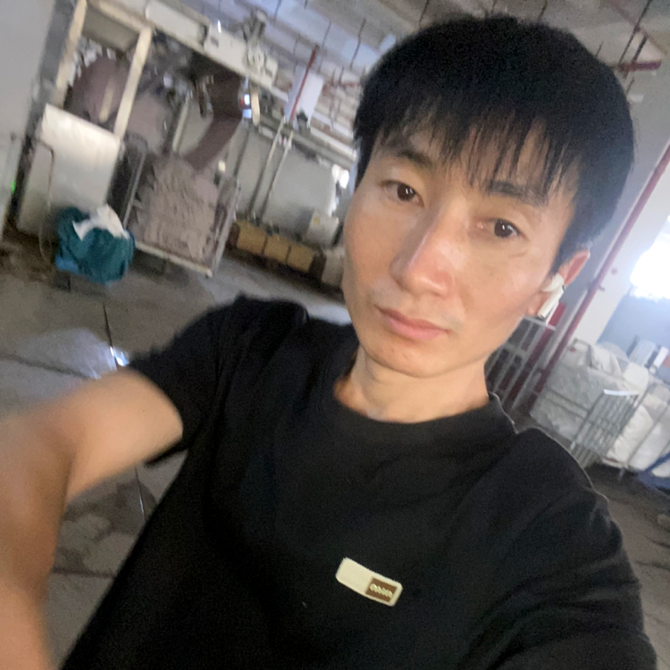 抓不住de椰棕树的照片