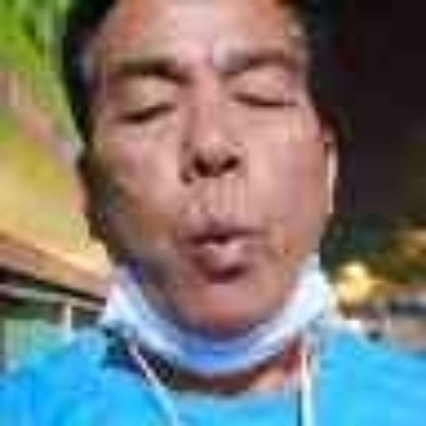 低调鸟的照片