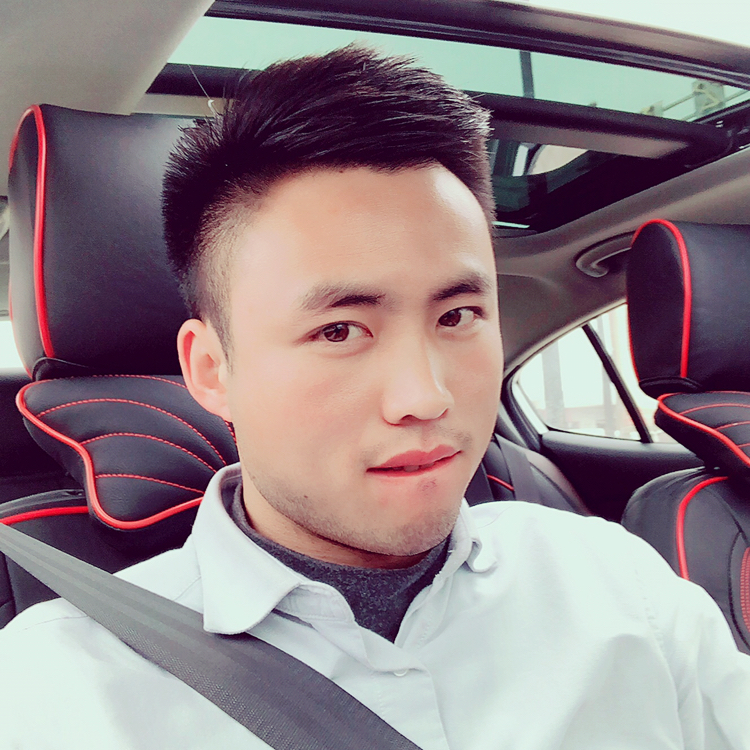 摘星的土拨鼠的照片